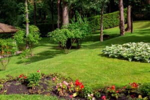 Plant ground covers to prevent soil erosion