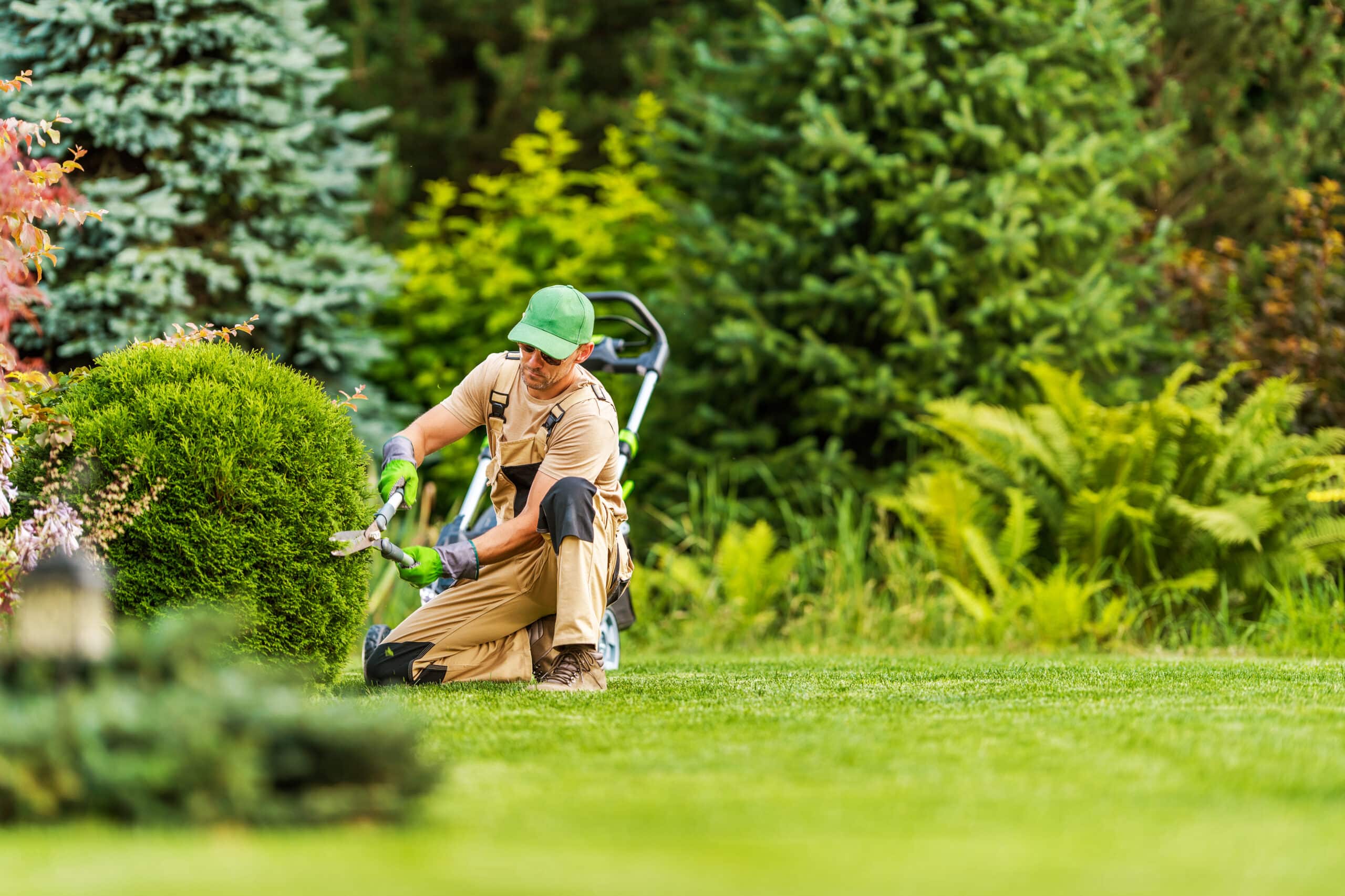 5 Landscaping Tips That Act As Natural Pest Control Services 2 | landscape gardening professional shaping shrub 2023 03 13 23 35 11 utc scaled