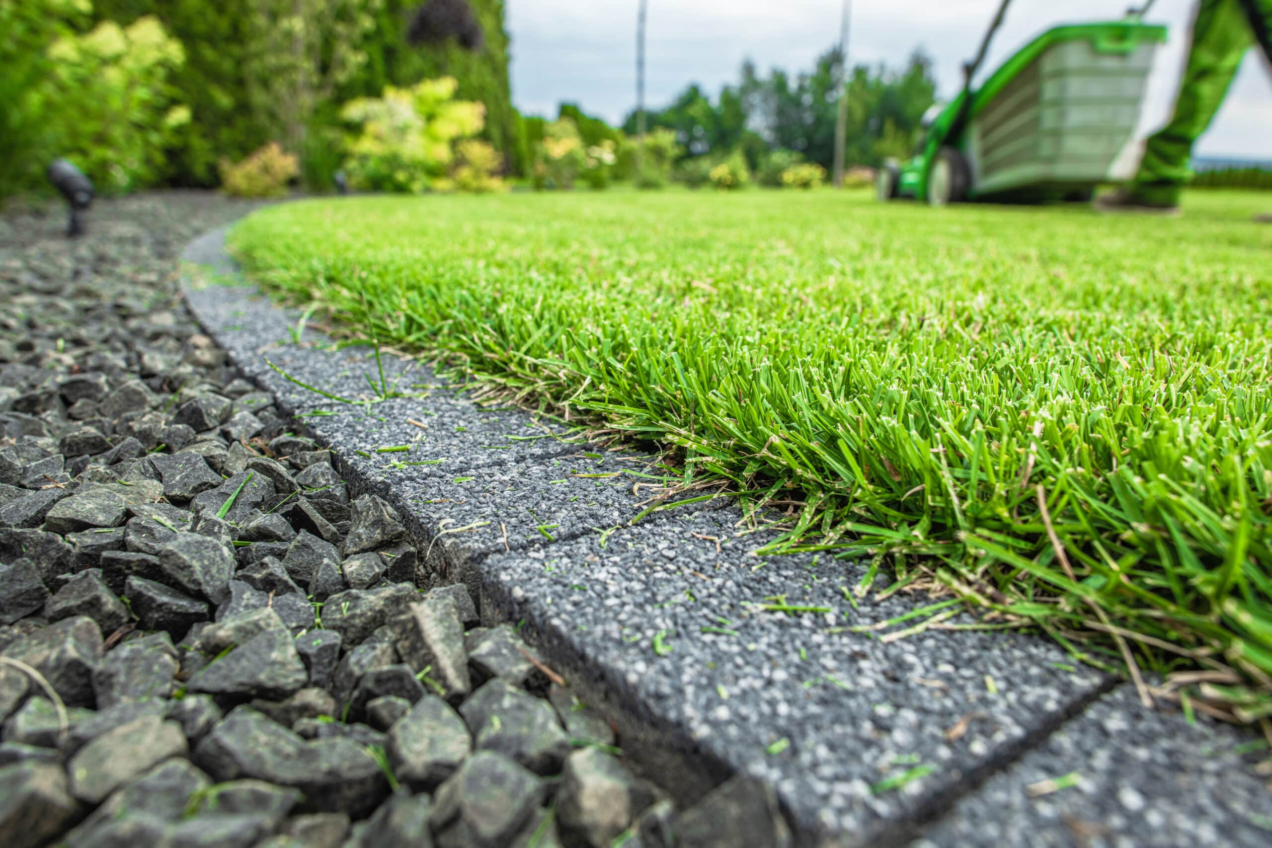 Backyard Lawn Grass Field Cobble Edges winter rye is drought resistant